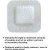 McKesson Adhesive Dressings, Non-Sterile, Dimension 4 in x 4 in, Pad 2 in x 2 in, 30 Count, 4 Packs, 120 Total(4 X 4 Inch ( 120 ct))