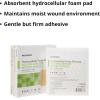 McKesson Hydrocellular Foam Dressings, Sterile, Silicone Adhesive Without Border, 4 in x 4 in, 10 Count, 1 Pack(6 in x 6 in (10 Count))