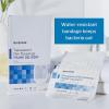 McKesson Transparent Film Dressing, Sterile, Frame Delivery, 2 3/8 in x 2 3/4 in, 100 Count, 1 Pack(6 x 8 Inch (10 Count))