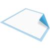 McKesson Classic Underpads, Incontinence Bed Pads 23″ x 24″ [25 Count], Light Absorbency, Disposable Chux for Adults, Elderly, and Baby, Pee Pads(23×24 Inch (Pack of 25))