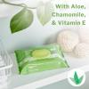 McKesson Flushable* Adult Wet Wipes – 288 Wipes (6 Pack of 48) – Aloe & Vitamin E, Plant-Based Cleansing Wipes, Scented