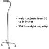 McKesson Steel Small Base Quad Cane 30 to 39″ Height(Chrome)