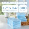 McKesson Underpads Disposable Bed Pads 17″ x 24″ [300 Count], Light Absorbency, Classic Incontinence Chux for Adults, Elderly, and Baby, Pee Pads(300 Count (Pack of 1))