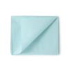 McKesson Drape Sheets – Disposable Medical Supplies, Tissue Paper Drapes for Physical Exams – Blue, 2-Ply, 48 in x 40 in, 100 Count