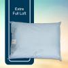 McKesson Medical Pillow [12 Count] Reusable Hospital Bed Pillows, Vinyl Cover, Fluid Moisture and Stain-Resistant, Blue, 20 in x 26 in(20 X 26 Inch ( 12 ct))