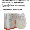 McKesson Toddler Training Pants, Size 4T to 5T (Over 37 lbs), 19 Count, 4 Packs, 76 Total(4T-5T)