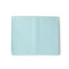McKesson Drape Sheets – Disposable Medical Supplies, Tissue Paper Drapes for Physical Exams – Blue, 2-Ply, 48 in x 40 in, 100 Count