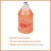 McKesson Antibacterial Liquid Hand Soap, 1 Gallon [Pack of 1] Refill, Clean Scent