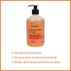 McKesson Antibacterial Liquid Hand Soap, 18 oz [Pack of 1] Pump Bottle, Clean Scent