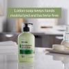 McKesson Antimicrobial Lotion Hand Soap with Aloe, 1 Gallon Refill Bottle [Pack of 1] – Herbal Scent, Keeps Hands Clean and Moisturized, Medical-Grade Soap(Aloe Vera)