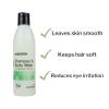 McKesson Body Wash and Shampoo with Aloe, Cucumber Melon Scent, 8 oz, 1 Count(8 Ounce (Pack of 1))