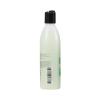 McKesson Body Wash and Shampoo with Aloe, Cucumber Melon Scent, 8 oz, 48 Count