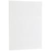 McKesson Multi-Purpose Dry Wipes – Disposable, Medium Duty, Non-Sterile – White, 9 in x 12 1/2 in, 48 Wipes, 1 Pack