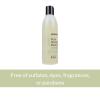McKesson Pure Shampoo and Body Wash, Sulfates, Dyes, Fragrance and Parabens Free, Unscented, 8 oz, 1 Count(1 Ounce (Pack of 1))