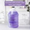 McKesson Shampoo and Body Wash with Aloe & Vitamin E, 1 Gallon [Pack of 1] Bulk, Refill, Tearless, Lavender(128 Fl Oz (Pack of 1))